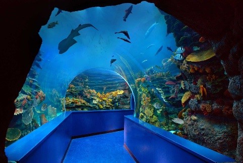 SharjahMuseums